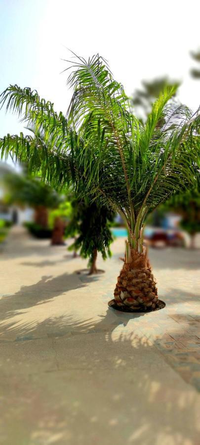 Dulaa Deema Residence Brufut Heights Tranquil Buitenkant foto
